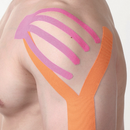 Bandas neuromusculares "Kinésio"