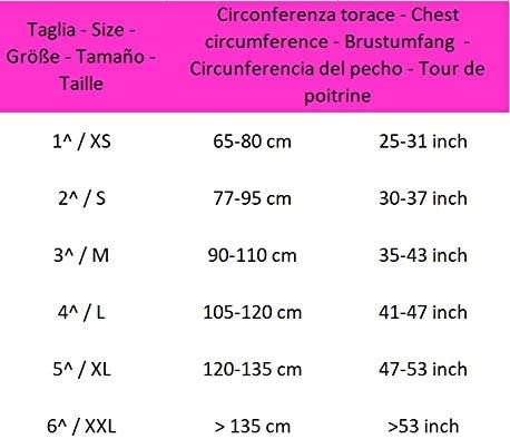 Corretor Dorsal